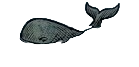 Whale